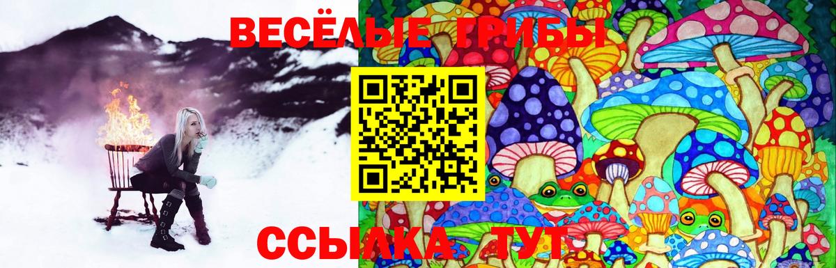 Галлюциногенные грибы прущие грибы  Вход с VPN  Псилоцибиновые грибы Cubensis  Карачаевск 