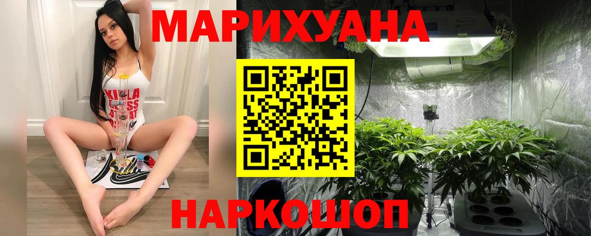 МАРИХУАНА план Карачаевск